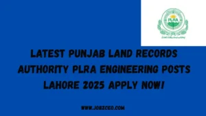 Latest Punjab Land Records Authority PLRA Engineering Posts Lahore 2025 Apply Now!
